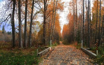 Beautiful Autumn By Cannabian screenshot