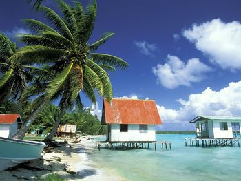 Black Pearl Farm, Tuamotu Islands, French Polynesia screenshot