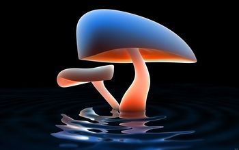 Blue Mushroom Reflection screenshot