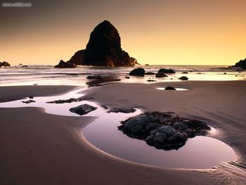 Boardman State Park Near Brookings Harbor Oregon screenshot