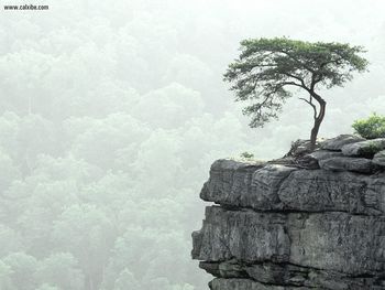 Buzzards Roost Fall Creek Falls State Park Tennessee screenshot