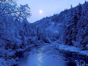 By The Light Of The Moon Scott River Klamath National Forest California screenshot