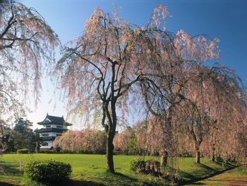 Castle Hirosaki, Japan screenshot