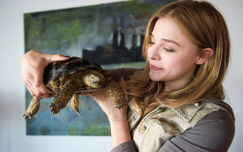 Chloe Moretz in Laggies screenshot