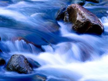 Cool Runnings Yosemite National Park California screenshot