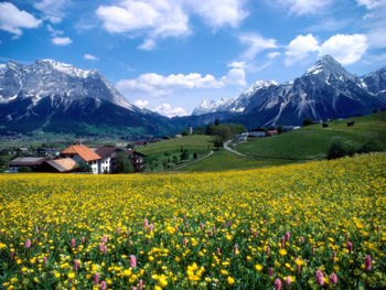 Countryside Splendor France screenshot