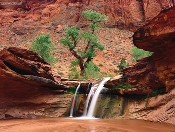 Coyote Gulch Escalante River Canyons Utah screenshot