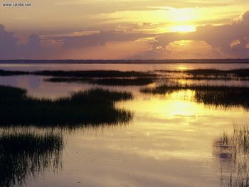 Dawn Breaking St Joseph Peninsula Florida screenshot