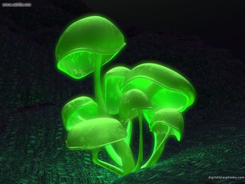 Digital Blasphemy Fluorescence Green screenshot