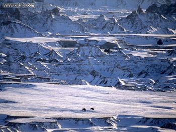 Distant Bison Badlands South Dakota screenshot