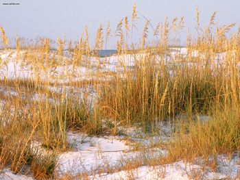 Dunes At Dawn Destin Florida screenshot