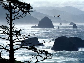 Ecola Point Oregon Coast screenshot