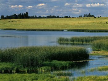 Evening Light On Mexican Hay Lake, Apache Sitgreaves National Forest, Arizona screenshot