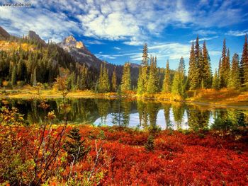 Fall In The Tatoosh Wilderness Mount Rainier National Park Washington screenshot