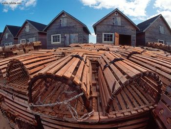 Fishing Huts And Lobster Traps, Prince Edward Island, Canada screenshot