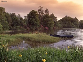 Gentle Dock County Donegal Ireland screenshot