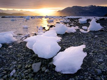 Glacial Icebergs, Icy Bay, Alaska screenshot