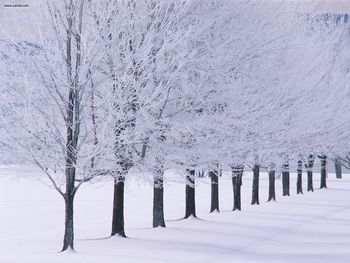 Glimmerglass State Park New York screenshot