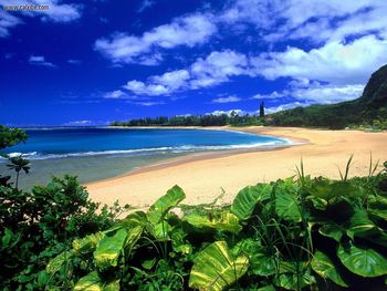 Haena Beach Kauai Hawaii screenshot