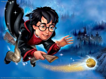 Harry Potter And The Sorcerers Stone screenshot