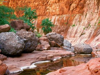 Hidden Oasis El Cajon Canyon Baja Mexico screenshot