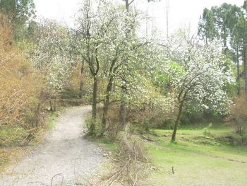 Hilly Village Path, Pakistan screenshot