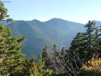 Hurricane Ridge, Olympic National Park, Washington State screenshot