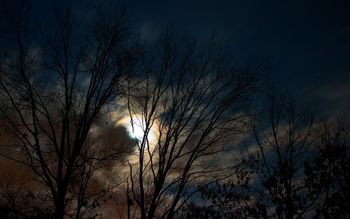 January Night Sky screenshot