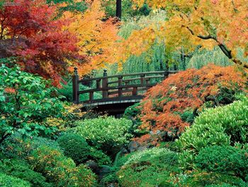 Japanese Garden Washington Park Portland Oregon screenshot