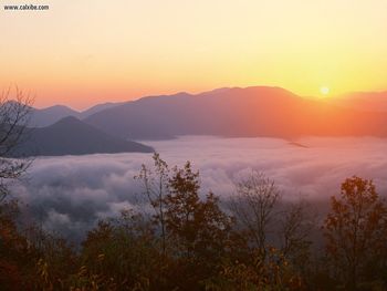 Joyce Kilmer Memorial Forestat Sunrise North Carolina screenshot