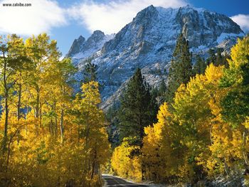 June Lake California screenshot