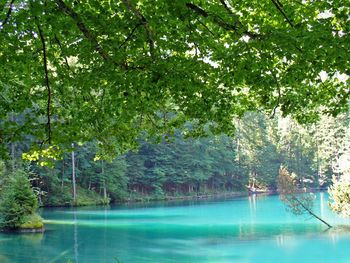 Kandersteg Blausee Blue Lake screenshot