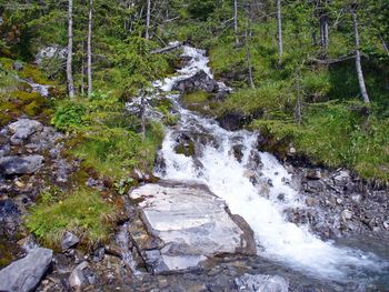 Kandersteg Mountain Stream screenshot