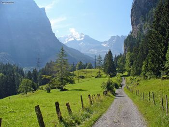 Kandersteg Walk Road screenshot