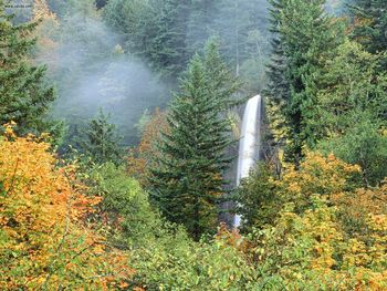 Latourell Falls Columbia River Oregon screenshot