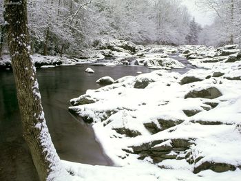 Little Pigeon River, Great Smoky Mountains National Park, Tennessee screenshot