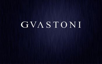 Luca Guastoni Logo screenshot