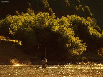 Madison River Montana screenshot