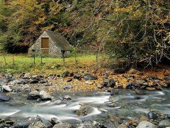 Mauri River, French Pyrenees screenshot