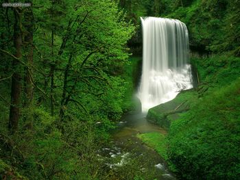 Middle North Falls Silver Falls State Park Oregon screenshot