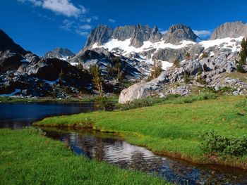 Montana Logan Pass Beargrass screenshot