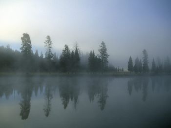 Morning Fog Over Yellowstone River, Wyoming screenshot