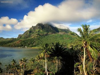 Morning Light On Mount Otemanu Bora Bora screenshot