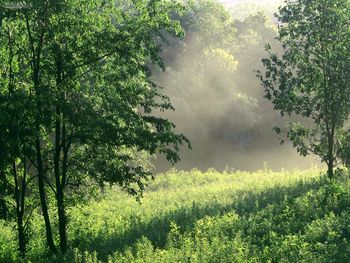 Morning Meadow Edwin Warner Park Nashville Tennessee screenshot