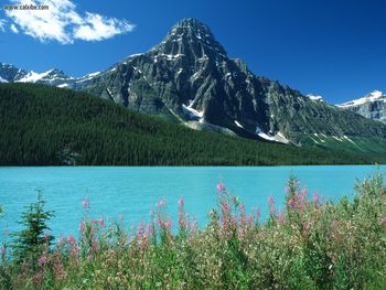 Mount Chephren Waterfowl Lakes Canadian Rockies Alberta screenshot