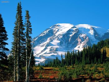 Mount Rainier Mount Rainier National Park Washington screenshot