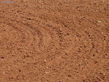 Nature Ploughed Field screenshot