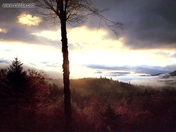 New England Autumn Kancamagus Pass screenshot