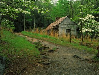 Noah Bud Ogle Cabin And The Roaring Fork Motor Trail, Great Smoky Mountains, Tennessee screenshot