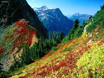 North Cascades In Autumn Mount Baker Washington screenshot